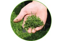 Функция мульчирования позволяет использовать траву в качестве удобрения для почвы
