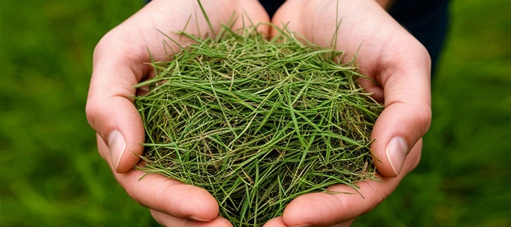 Функция мульчирования Газонокосилка с мульчированием