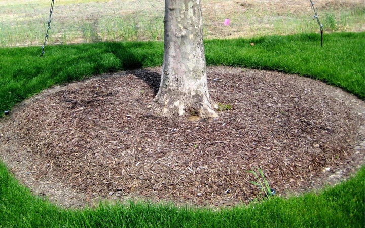 Пример: Изображение такого-то товара