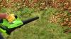  Воздуходув аккумуляторный Greenworks G40ABK8, 40V, с 1хАКБ 8 Ач и быстрым ЗУ мни (13)