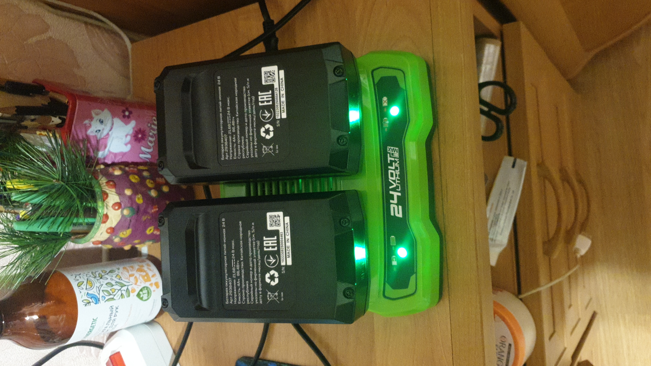  Зарядное устройство на 2 аккумулятора Greenworks G24X2UC2, 24V фото №1 от Сергей  (18.11.2023)